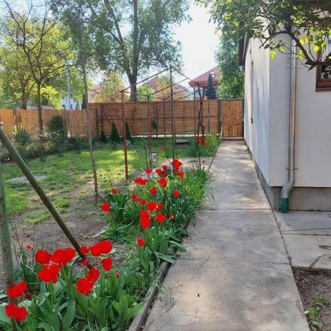 Ujszeged Apartman 外观 照片
