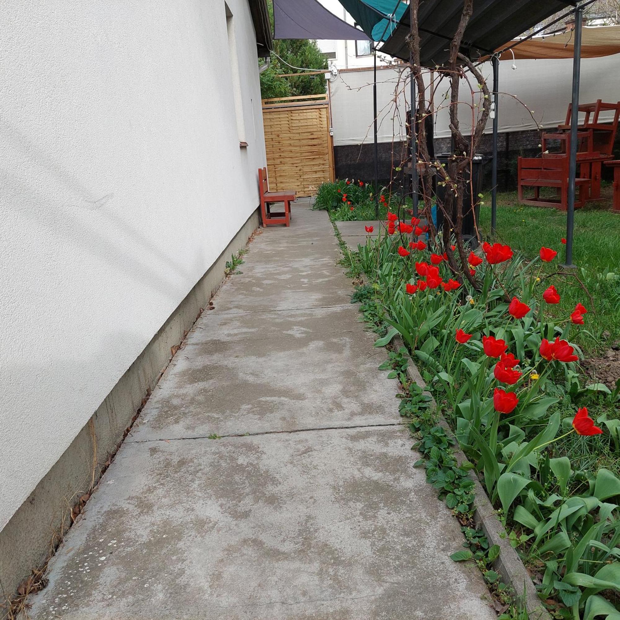 Ujszeged Apartman 外观 照片